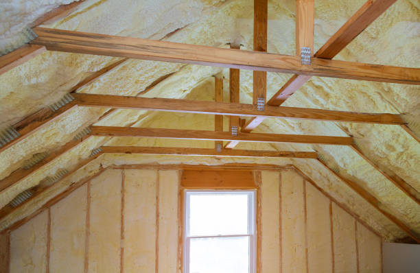 Best Insulation Removal  in Salisbury, NC