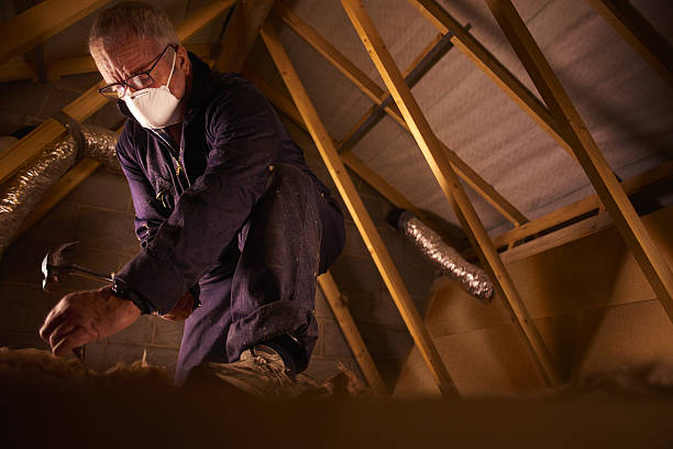 Best Home Insulation Services  in Salisbury, NC